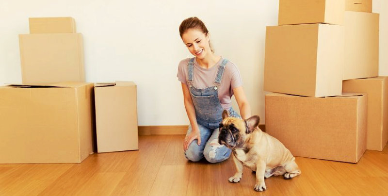 A women surrounded by cardboard boxes petting her pug